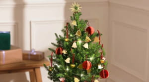 mini bloom and wild christmas tree